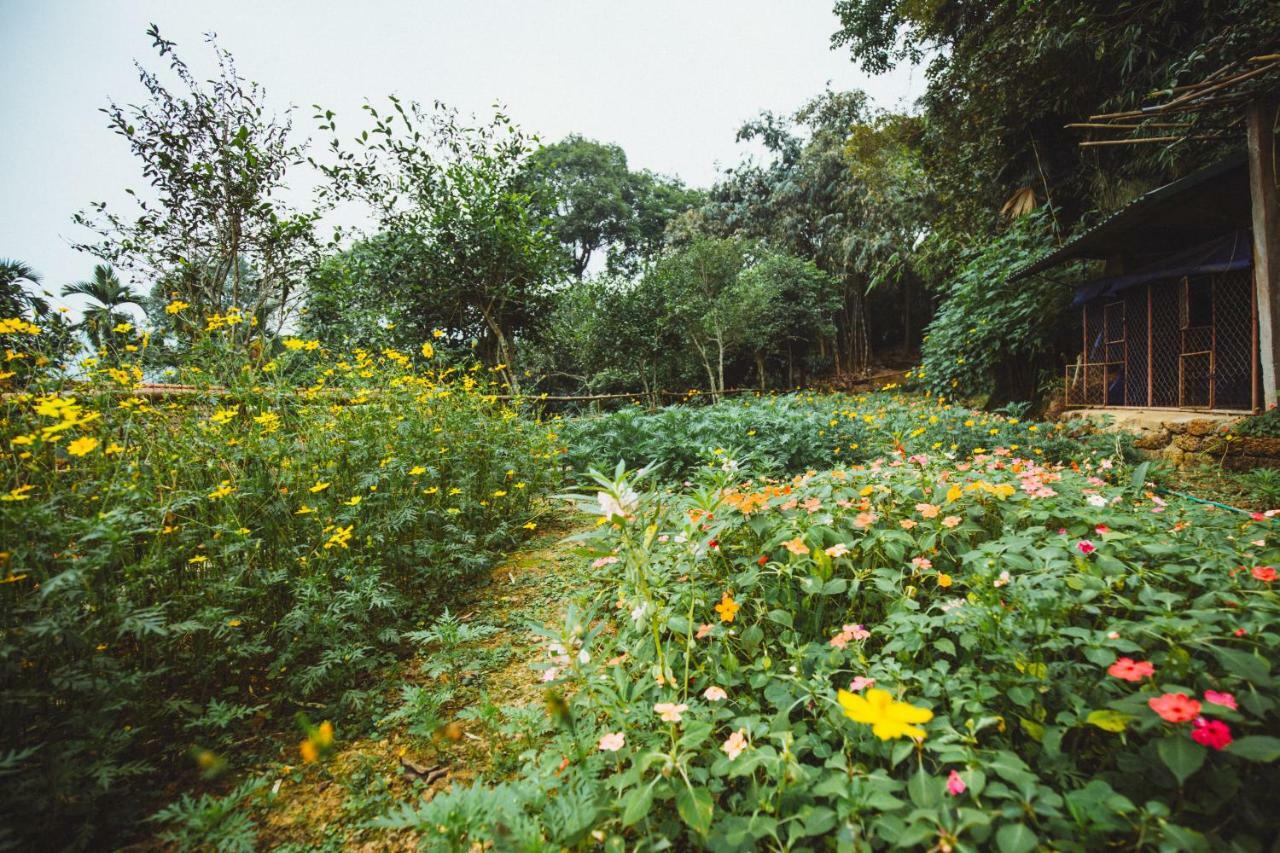 Bavi Homestead Ba Vi Esterno foto